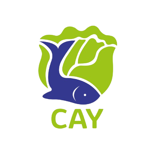 CAY