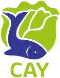 CAY