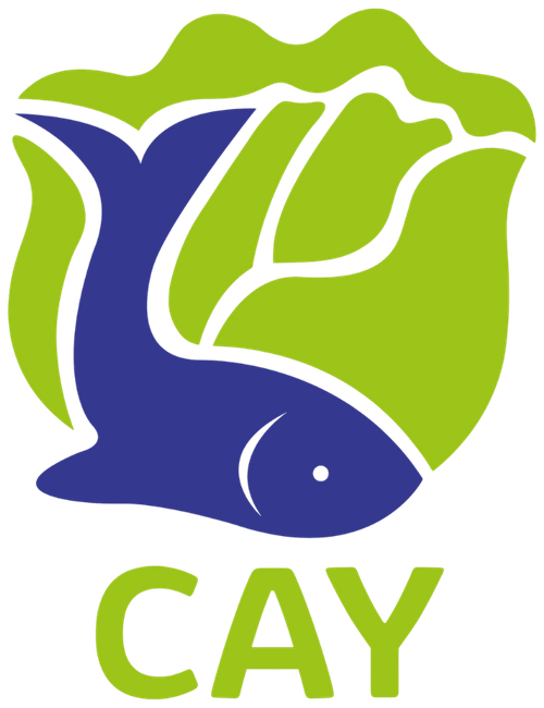 CAY